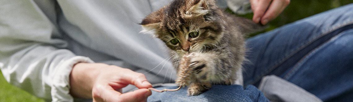 [paste advice page name here]